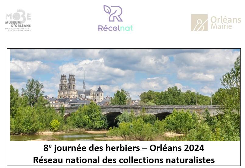 8e journée des herbiers – Orléans 2024 Réseau national des collections naturalistes