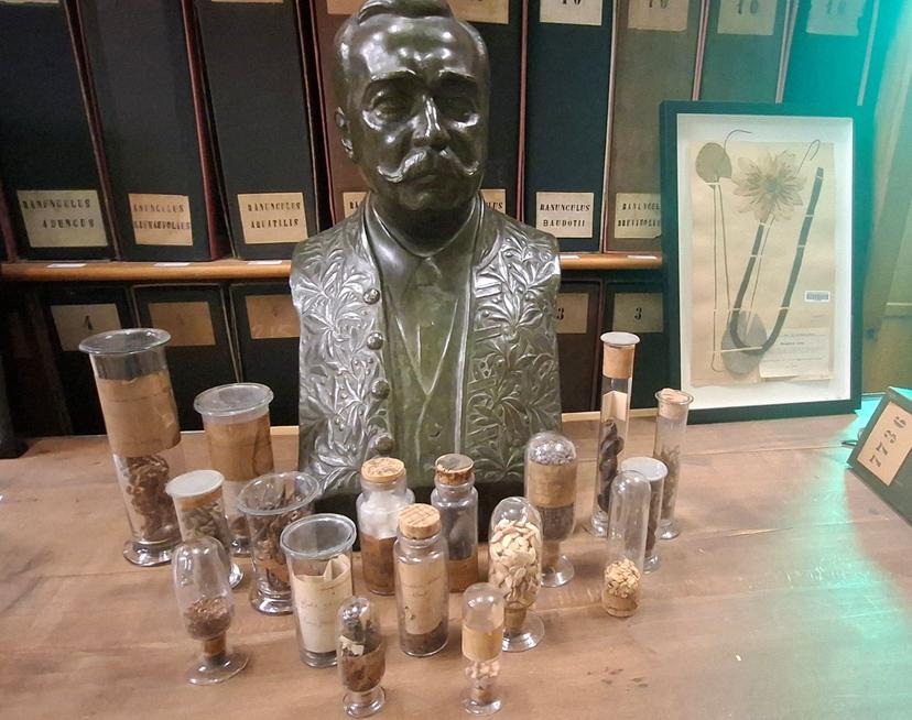 17 bocaux sont de retour dans la collection d’herbier Roland Bonaparte !